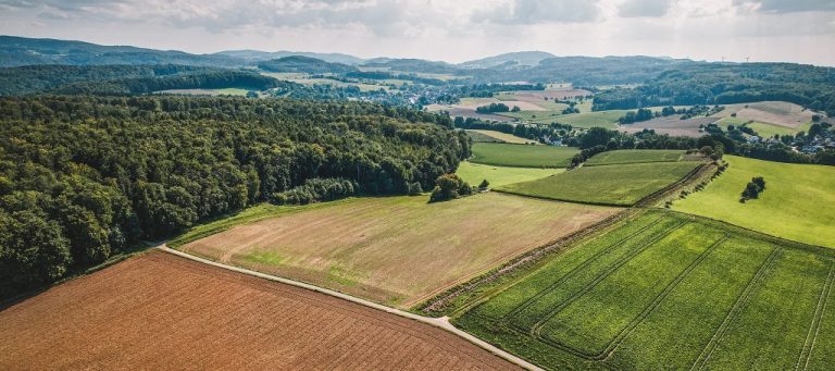 Formación Profesional de Grado Básico de Actividades Agropecuarias. Rama Agraria. EFA El Salto, Zuera, Zaragoza, Aragón.