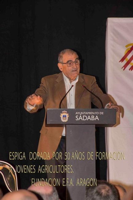 angel turlan espiga dorada