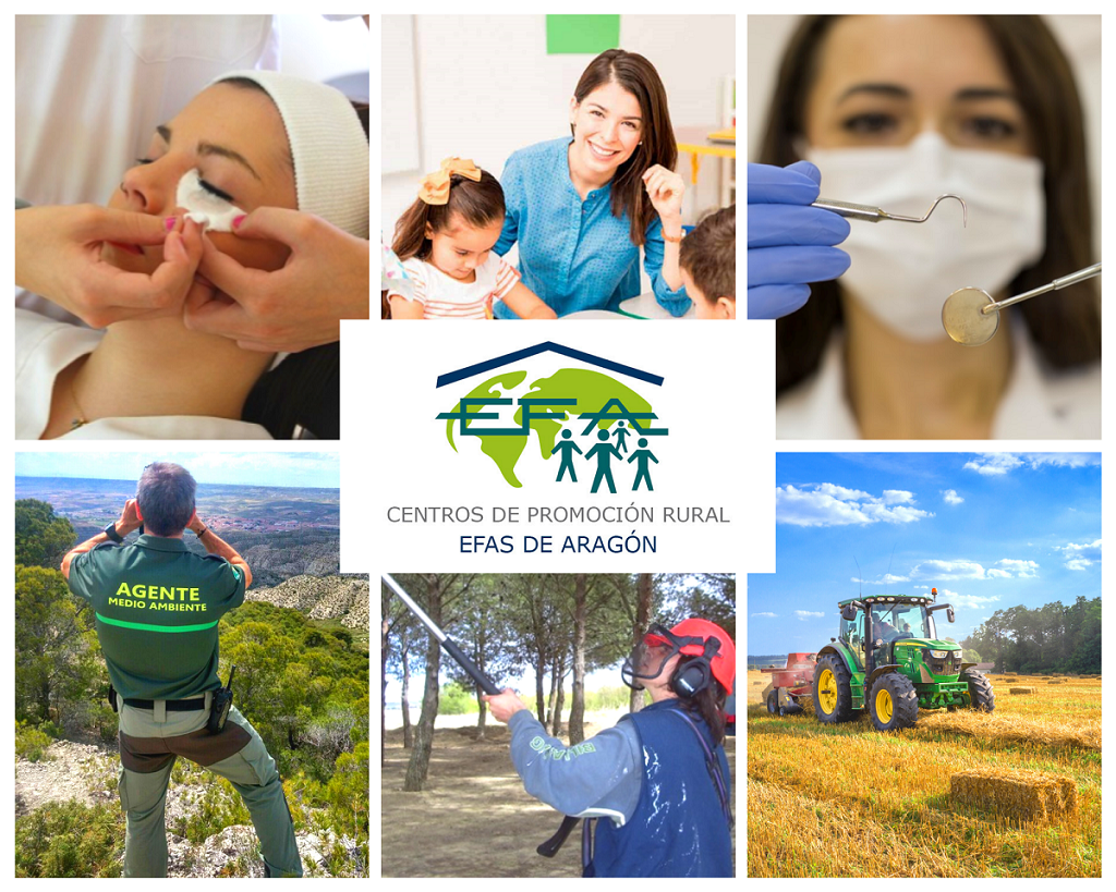EFAS DE ARAGON OFERTA FORMATIVA