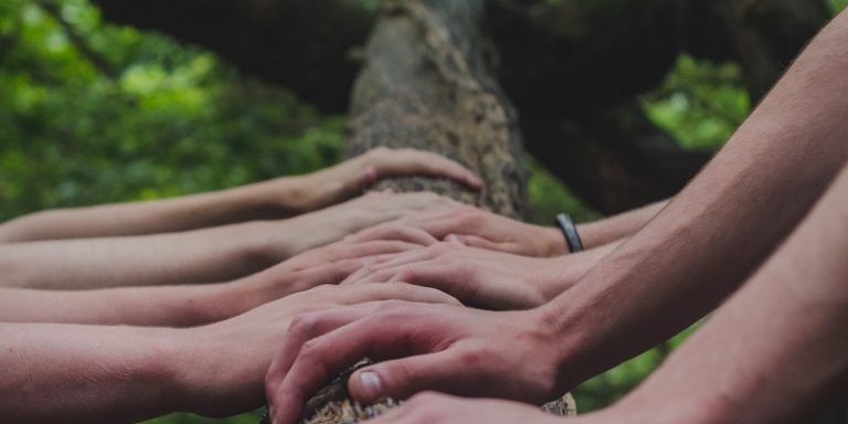 shane rounce DNkoNXQti3c unsplash